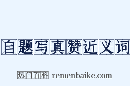 自题写真赞近义词是什么意思的图片